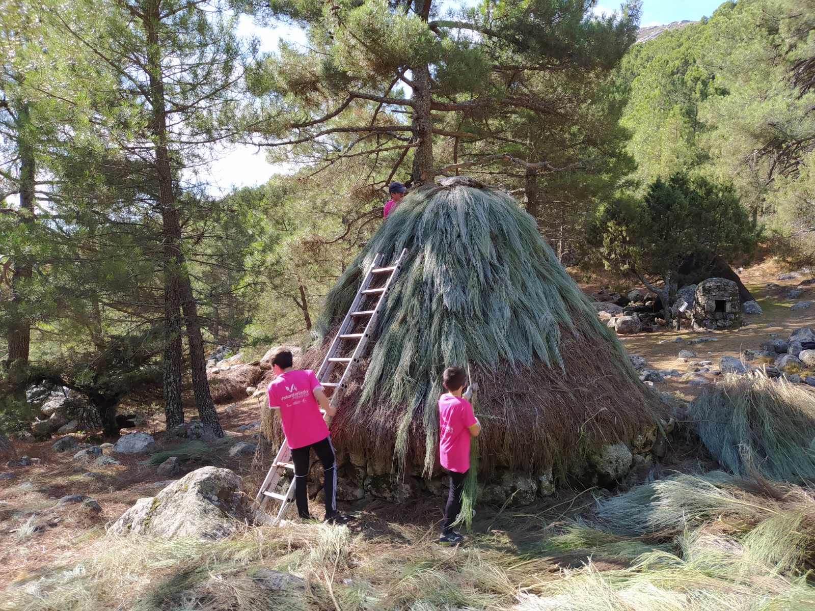 Patrimonio Natural De Castilla Y Le N Casas Del Parque Y Centros